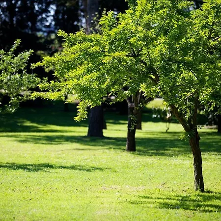 Il Borghetto Apartman