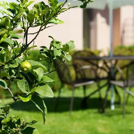 Il Borghetto Apartman *